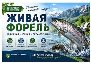 Азык-түлүктөр: Живая форель — радужная, речная, охлаждённая. - Эко-продукт из чистых — 2