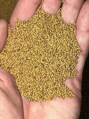 стеклянный стол офисный: Беде урук сатылат 6 жылдык беде Петкусдан тазаланган — 4