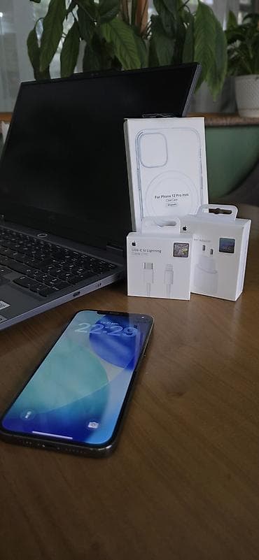IPhone 12 Pro Max, Б/у, 256 ГБ, Pacific Blue, Зарядное устройство, Защитное стекло, Чехол, 100 %