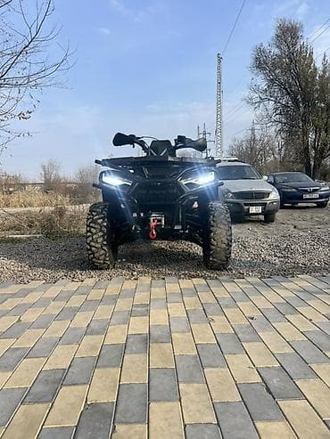 Квадроцикл Бензин, 650 куб. см, Взрослый