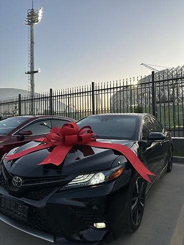 аренда декор: Аренда декоративных бантов для авто 🚘АКЦИЯ — всего 700 сом/сутки! — 2