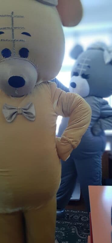 прокат горнолыжных костюмов бишкек: Карнавалдык костюм, Жаныбар, Аюу — 9