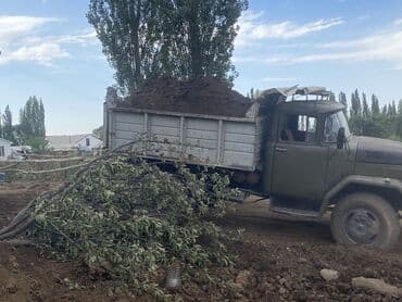 биогумус цена в бишкеке: В тоннах, Бесплатная доставка, Зил — 5