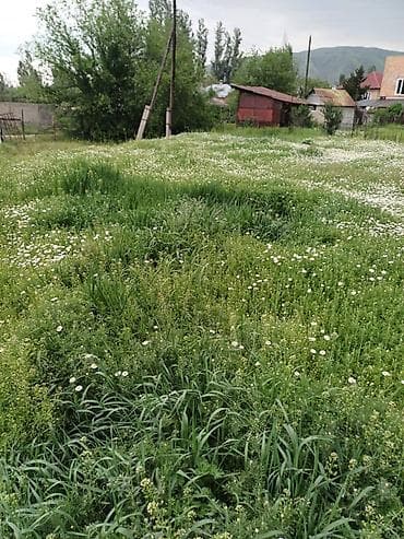 уч: 7 соток, Кызыл китеп — 9