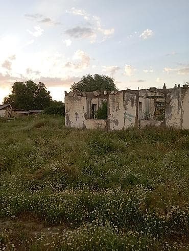 александровка купить дом: 6 соток, Для строительства — 3