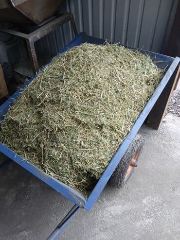 Фрезерные станки: Кормодробилка/измельчитель зерна и сена (стационарный) - Мощная — 6