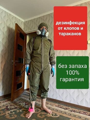 Дезинфекция, дезинсекция, | Клопы, Блохи, Тараканы, | Транспорт, Офисы, Квартиры at lalafo.kg Дезинфекция, дезинсекция, | Клопы, Блохи, Тараканы, | Транспорт, Офисы, Квартиры