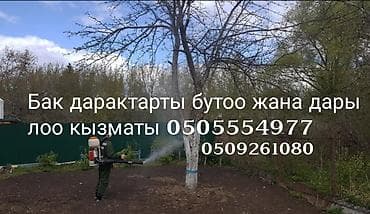 штамбовые: Обрезка плодовых деревьев (сад) Обработка от насекомых и вредителей — 9