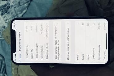 iphone zr: IPhone X, 256 ГБ, 72 % — 7