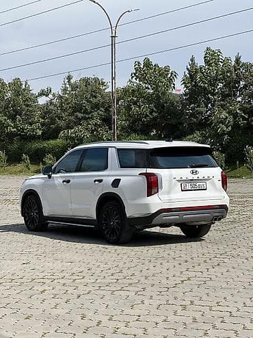byd e2 2023: Hyundai Palisade: 2023 г., 2.2 л, Автомат, Дизель, Кроссовер — 3