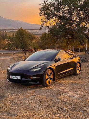 wuling mini ev: Tesla Model 3: 2021 г., Автомат, Электромобиль, Седан — 1