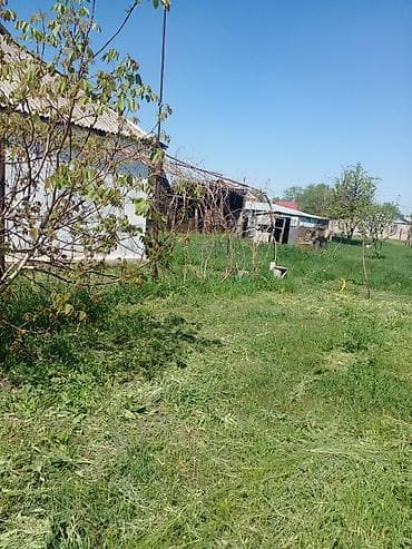 дом и сад: Дом с большим приусадебным участком. - Жилой одноэтажный дом с крытой — 1