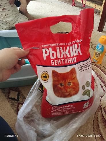 луговая: Комплект для кошек. Адрес: Аламедин‑1. Туалет для кошек «Сибирская — 10
