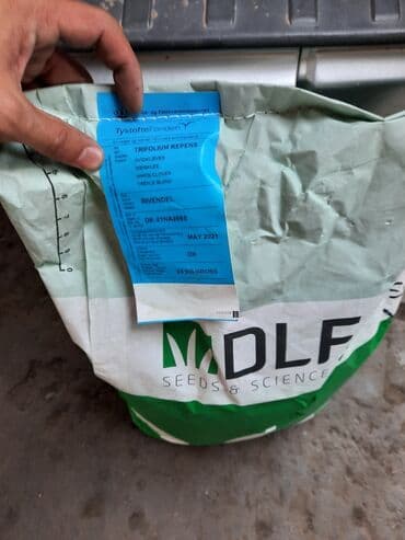 семена клевера цена: КЛЕВЕР белый ДЕКОРАТИВНЫЙ Ривендел   DLF Trifolium ☘️ Клевер белый — 4