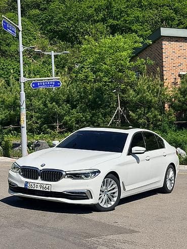 byd e2 2019: BMW 5 series: 2019 г., 2 л, Автомат, Бензин, Седан — 4