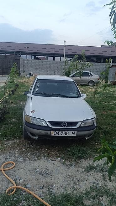 фары на опель вектра б: Opel Vectra: 1998 г., 1.8 л, Механика, Бензин, Седан — 2