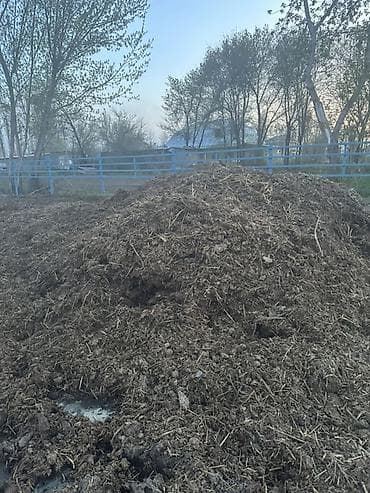 навоз: Отдам лошадиный навоз даром!!! Биогумус,поля — 2