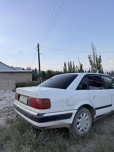 с4 моно: Audi 100: 1991 г., 2 л, Механика, Бензин, Седан — 7