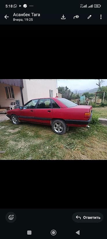 вампер адисей: Audi 100: 1989 г., Механика, Бензин, Седан — 2