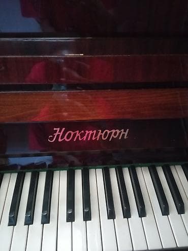 Фортепиано «Ноктюрн» (требуется настройка) - Клавиатура: 88 клавиш