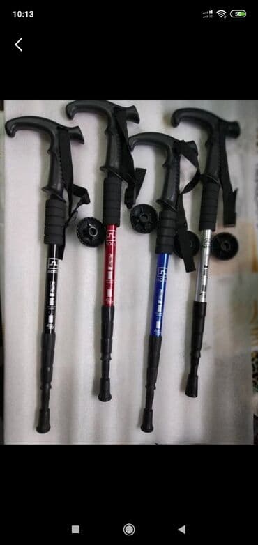 аренда телескоп: Треккинговые трекинговые палки в аренду Скандинавские палки в сутки — 3