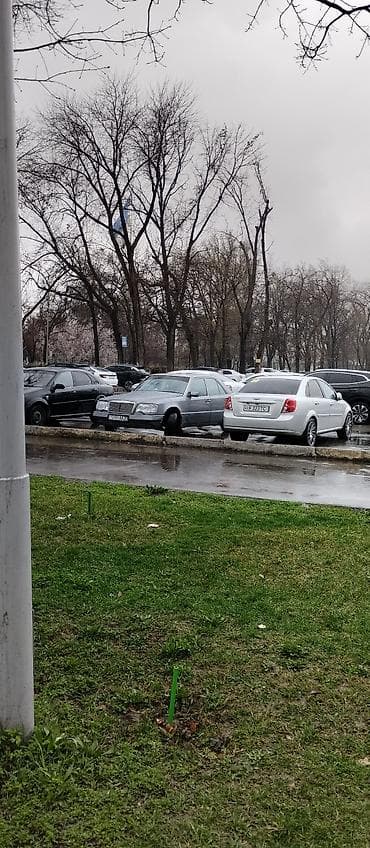 w124 e500: Mercedes-Benz W124: 1991 г., 2.5 л, Ручные, Дизель, Седан — 6