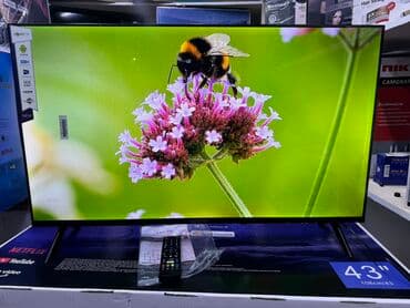 домашний антенна для телевизора: Телик Телевизоры Samsung Android 13 с голосовым управлением, 43 — 12