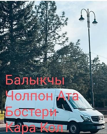 tapp services: Заказать Мерседес грузовой спринтер, Перевозка мебели, Другие опции — 3