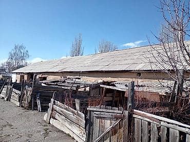 дом манас дача суу: ПРОДАЁТСЯ ДОМ С УЧАСТКОМ 1 ГЕКТАР В СЕЛЕ Григорьевка (район пристани) — 5