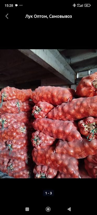 Өнөр жай химиясы: Пияз Дүңүнөн — 1