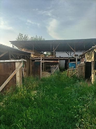 каркасные дома: Продаётся полдома. участок: 9,38 сотых. г.Бишкек — 5