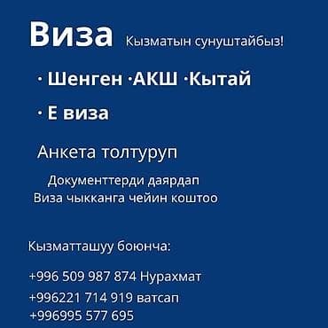 Услуги оформления виз - Шенген, США, Китай - Электронные визы