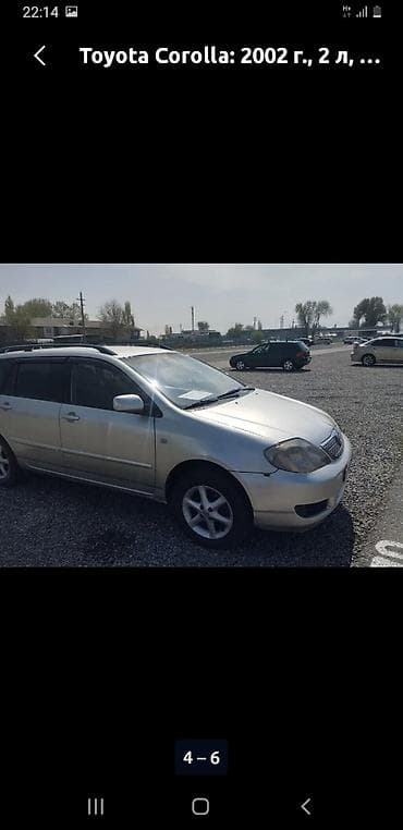 sprinter 2003: Toyota Corolla: 2002 г., 2 л, Механика, Дизель, Универсал — 1