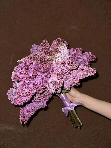 Майрамдык товарлар: КАЛИРОВАНАЯ СИРЕНЬ букет из живой кустовой сирени БУКЕТЫ ПО 800 1000 — 1