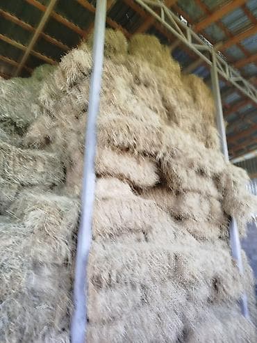 продаю опилку: Сено в тюках - Заготовка в тюках прямоугольной формы, стандартного — 1