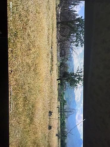 бостери комнаты: 15 соток, Айыл чарба үчүн, Кызыл китеп — 2