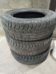 Шиналар 215 / 65 / R 16, Кыш, Колдонулган, Жеңил унаалар, Жапония, Toyo