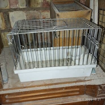Продаю переноска для папугаев и мелких грызунов