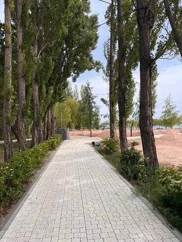 коттеджный дом: Коттедж, Солнышко ЦО Солнышко, Чок-Тал, Парковка, стоянка, Детская площадка, Закрытый пляж — 14