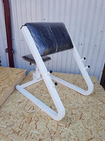 Тренажеры: Силовой тренажер, Гиперэкстензия, Для спины — 3