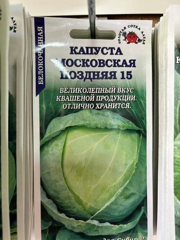морковь семена: Семена капусты «Колобок» «Амагер 611» «Московская Поздняя 15» «Слава — 3