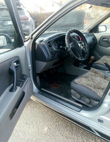 возьму собаку в добрые руки: Продаю | Бык (самец) — 5