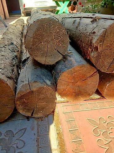Лес кругляк: Бревна хвойные (сосна), цельные — 2