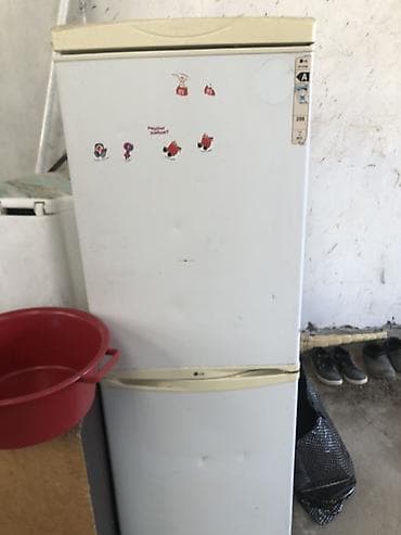 lunch box: Холодильник LG, Двухкамерный — 3