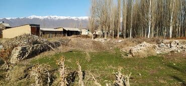 дом в красная речка: 65 соток, Бизнес үчүн, Кызыл китеп — 9