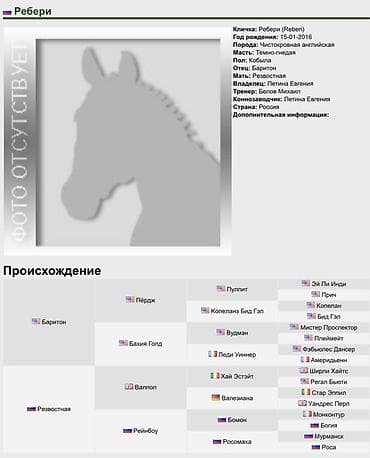 породистый конь: Продаю | Кобыла (самка) | Английская | Для разведения | Племенные — 5