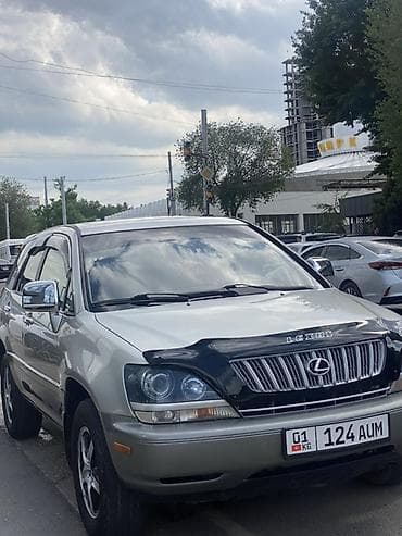 Lexus: Lexus RX: 2002 г., 3 л, Автомат, Бензин, Кроссовер — 3