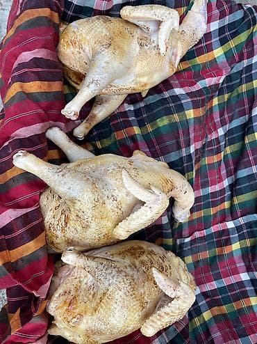 куриное бедро: Домашние потрошёные куры (тушка целиком) Опаленная Мы не красим 100% — 4
