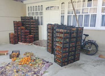 односпальные кровати с ящиками бишкек: Хурма в ящиках - Сорт: хурма лепешка (не вяжет при полной — 1