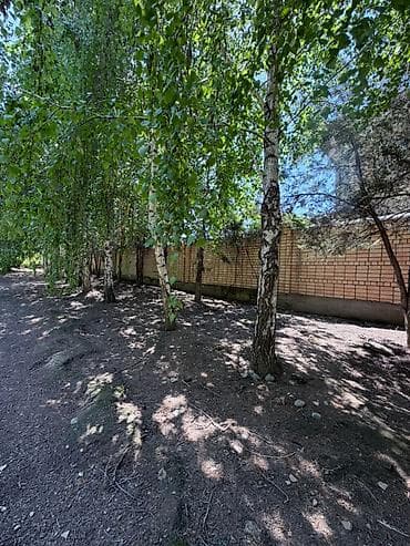 Недвижимость: 29 соток, Для бизнеса, Договор купли-продажи — 2